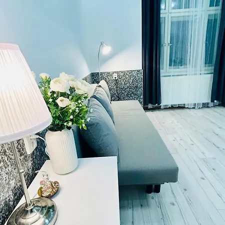 公寓 Modern Spacious In Center *