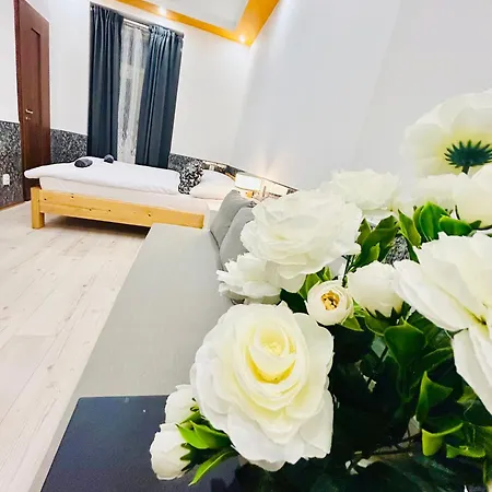 Modern Spacious In Center * 布拉格